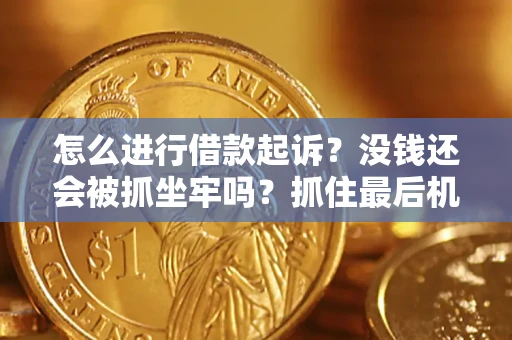 北京怎么进行借款起诉？没钱还会被抓坐牢吗？抓住最后机会！