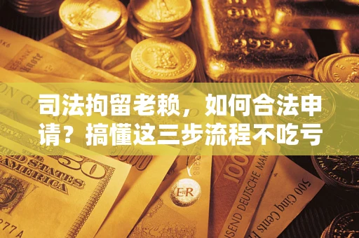 北京司法拘留老赖，如何合法申请？搞懂这三步流程不吃亏！