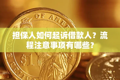 北京担保人如何起诉借款人？流程注意事项有哪些？